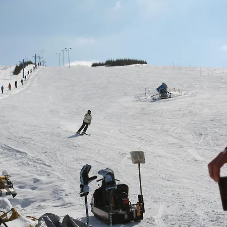 Medvidek Vendégház