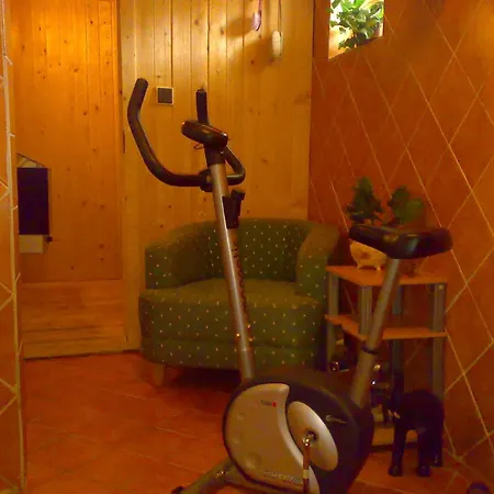 Medvidek Penzion Loučná pod Klínovcem