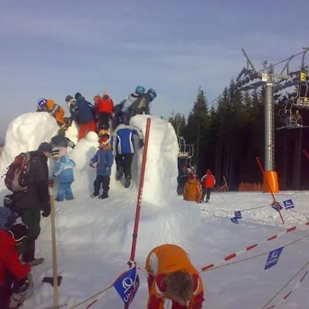 Medvidek Pensjonat *