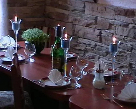 Pensjonat Medvidek *