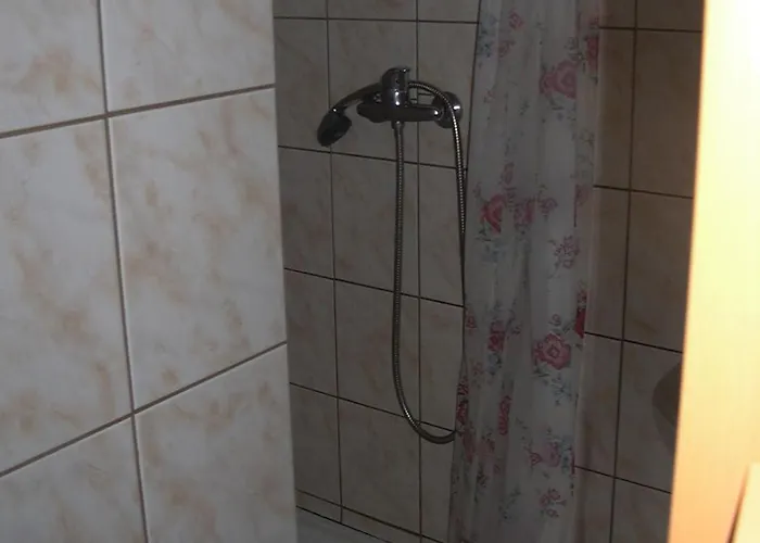 Pensjonat Medvidek *