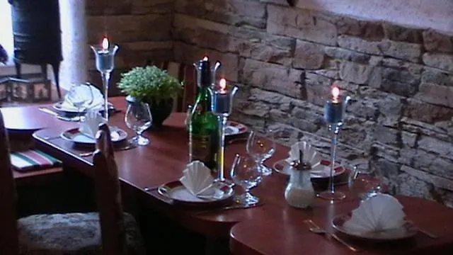 Pensjonat Medvidek *